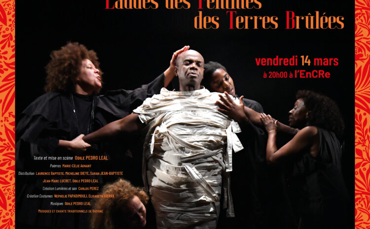 50 ans de la loi VEIL